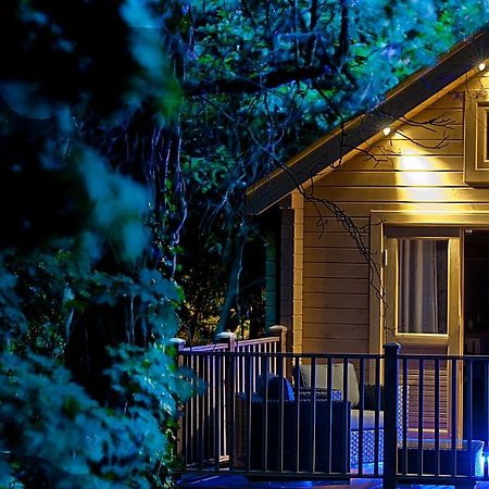 Alum Chine Log Cabin Villa Bournemouth Ngoại thất bức ảnh