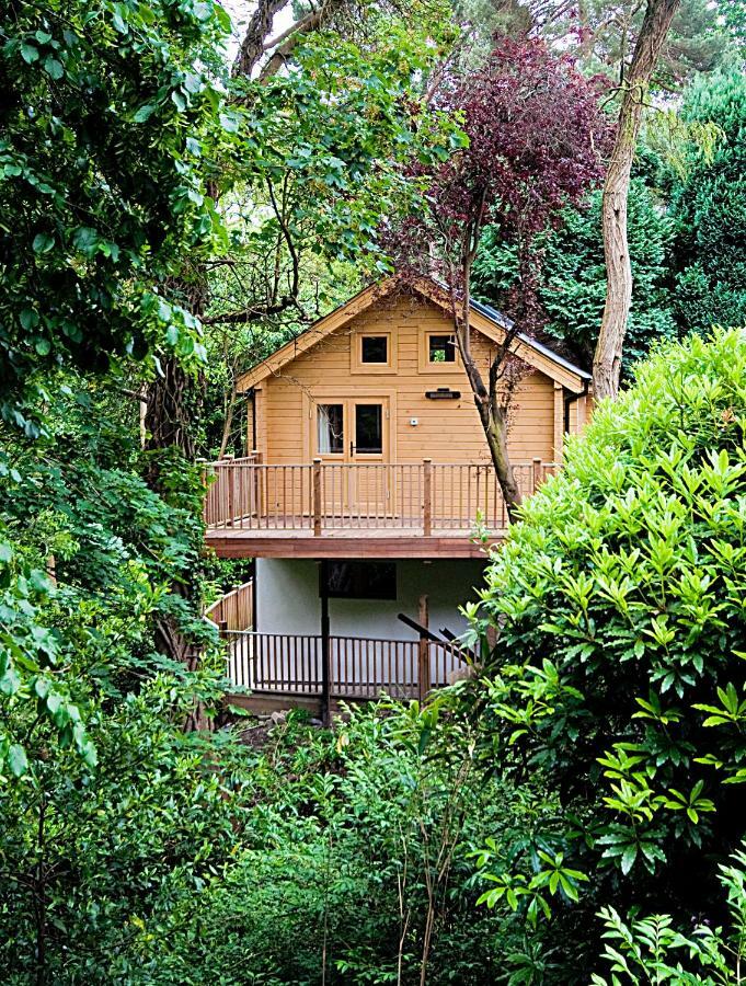 Alum Chine Log Cabin Villa Bournemouth Ngoại thất bức ảnh